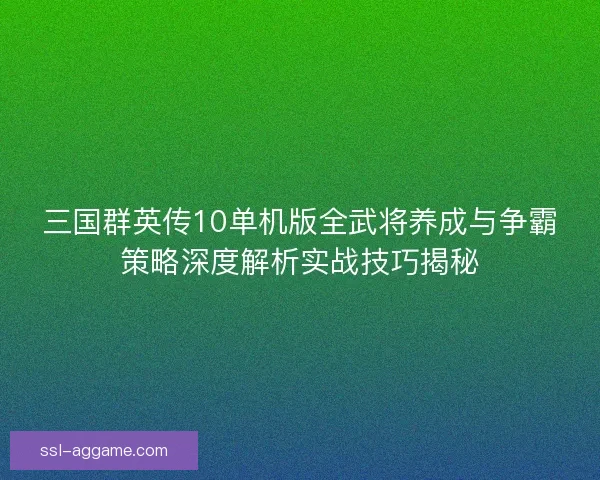三国群英传10单机版全武将养成与争霸策略深度解析实战技巧揭秘