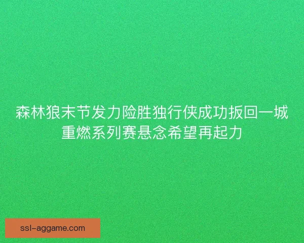 森林狼末节发力险胜独行侠成功扳回一城重燃系列赛悬念希望再起力